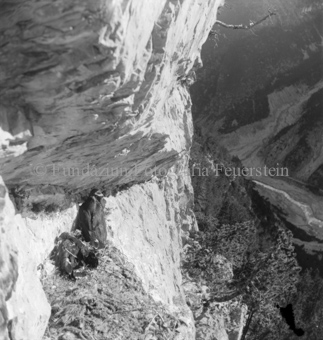 Steinadler, Bezeichnung Hülle: Adler