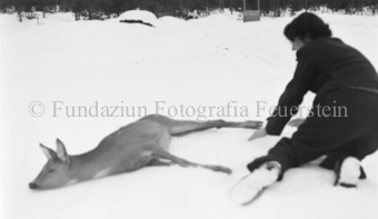 Serie: Wild in Not, Bezeichnung Hülle: Wild in Not