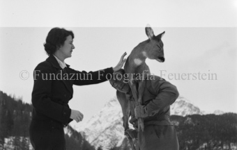 Serie: Wild in Not, Bezeichnung Hülle: Wild in Not