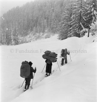 Serie: Wild in Not, Bezeichnung Hülle: Wild in Not