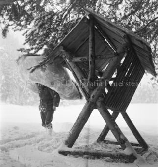 Serie: Wild in Not, Bezeichnung Hülle: Wild in Not