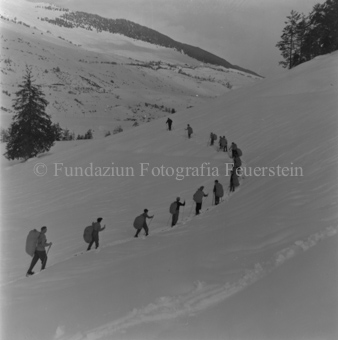 Serie: Wild in Not, Bezeichnung Hülle: Wild in Not