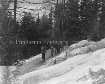 Serie: Wild in Not, Bezeichnung Hülle: Wild in Not