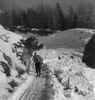 Serie: Wild in Not, Bezeichnung Hülle: Wild in Not