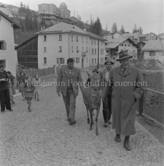 Scuol, Serie: Wild in Not, Bezeichnung Hülle: Wild in Not