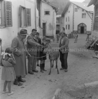 Scuol, Serie: Wild in Not, Bezeichnung Hülle: Wild in Not