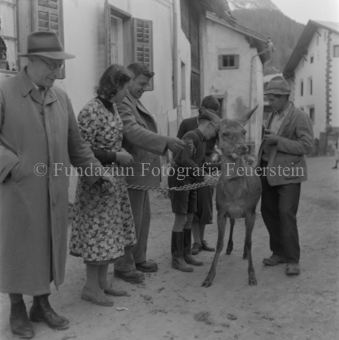 Scuol, Serie: Wild in Not, Bezeichnung Hülle: Wild in Not