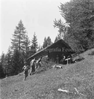Serie: Wild in Not, Bezeichnung Hülle: Wild in Not