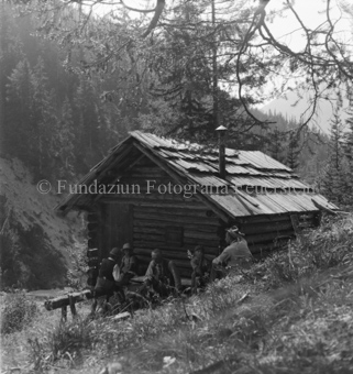 Serie: Wild in Not, Bezeichnung Hülle: Wild in Not