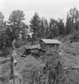 Serie: Nationalpark, Arvenwald, Bezeichnung Hülle: Nationalpark, Nationalpark Arvenwald mit Personen, Val Mingèr; Nationalpark Til Rieser