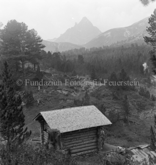 Serie: Nationalpark, Arvenwald, Bezeichnung Hülle: Nationalpark, Nationalpark Arvenwald mit Personen, Val Mingèr; Nationalpark Til Rieser