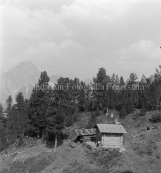 Serie: Nationalpark, Arvenwald, Bezeichnung Hülle: Nationalpark, Nationalpark Arvenwald mit Personen, Val Mingèr; Nationalpark Til Rieser