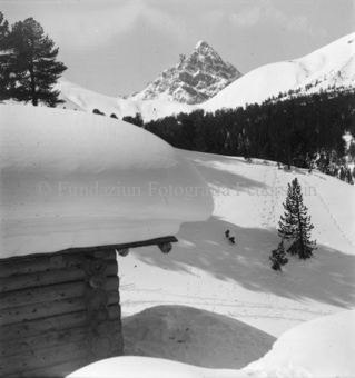 Serie: Nationalpark, Arvenwald, Bezeichnung Hülle: Nationalpark, Nationalpark Arvenwald mit Personen, Val Mingèr; Nationalpark Til Rieser