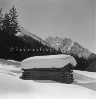 Serie: Nationalpark, Arvenwald, Bezeichnung Hülle: Nationalpark, Nationalpark Arvenwald mit Personen, Val Mingèr; Nationalpark Til Rieser