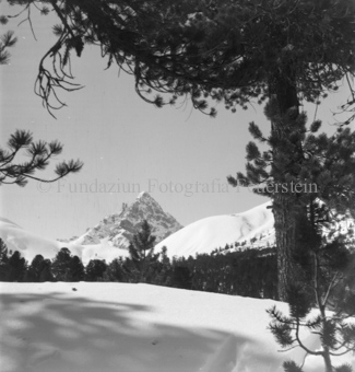 Serie: Nationalpark, Arvenwald, Bezeichnung Hülle: Nationalpark, Nationalpark Arvenwald mit Personen, Val Mingèr; Nationalpark Til Rieser