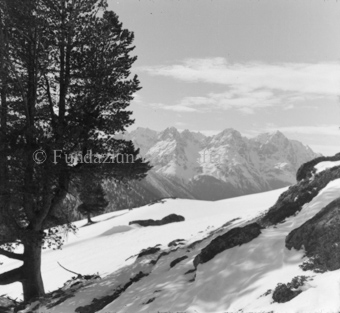 Serie: Nationalpark, Arvenwald, Bezeichnung Hülle: Nationalpark, Nationalpark Arvenwald mit Personen, Val Mingèr; Nationalpark Til Rieser
