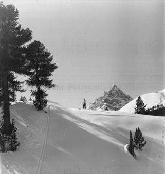 Serie: Nationalpark, Arvenwald, Bezeichnung Hülle: Nationalpark, Nationalpark Arvenwald mit Personen, Val Mingèr; Nationalpark Til Rieser