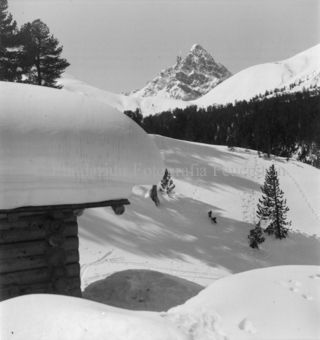 Serie: Nationalpark, Arvenwald, Bezeichnung Hülle: Nationalpark, Nationalpark Arvenwald mit Personen, Val Mingèr; Nationalpark Til Rieser