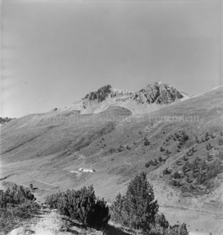 Serie: Nationalpark, Arvenwald, Bezeichnung Hülle: Nationalpark, Nationalpark Arvenwald mit Personen, Val Mingèr; Nationalpark Til Rieser