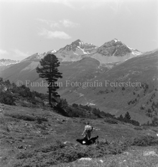 Serie: Nationalpark, Arvenwald, Bezeichnung Hülle: Nationalpark, Nationalpark Arvenwald mit Personen, Val Mingèr; Nationalpark Til Rieser