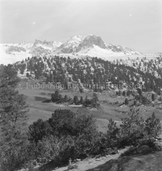 Serie: Nationalpark, Arvenwald, Bezeichnung Hülle: Nationalpark, Nationalpark Arvenwald mit Personen, Val Mingèr; Nationalpark Til Rieser