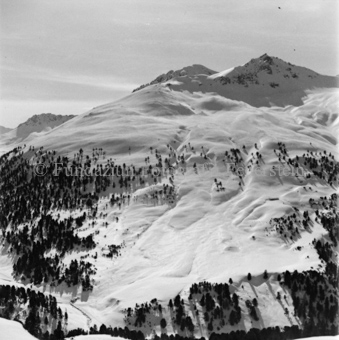 Serie: Nationalpark, Arvenwald, Bezeichnung Hülle: Nationalpark, Nationalpark Arvenwald mit Personen, Val Mingèr; Nationalpark Til Rieser