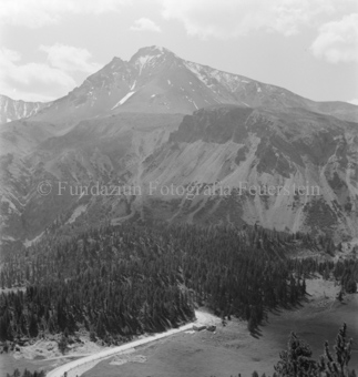 Serie: Nationalpark, Arvenwald, Bezeichnung Hülle: Nationalpark, Nationalpark Arvenwald mit Personen, Val Mingèr; Nationalpark Til Rieser