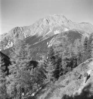 Serie: Nationalpark, Arvenwald, Bezeichnung Hülle: Nationalpark, Nationalpark Arvenwald mit Personen, Val Mingèr; Nationalpark Til Rieser
