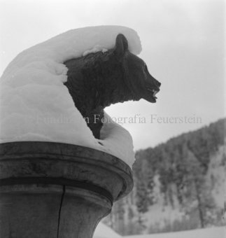 Brunnen, S-Charl, Serie: Nationalpark, Arvenwald, Bezeichnung Hülle: Nationalpark, Nationalpark Arvenwald mit Personen, Val Mingèr; Nationalpark Til Rieser