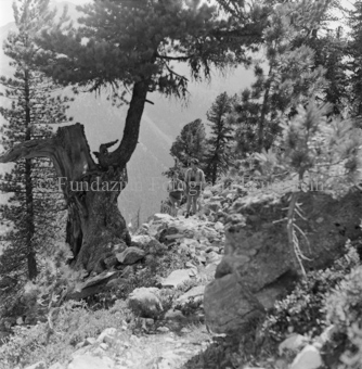 Serie: Nationalpark, Arvenwald, Bezeichnung Hülle: Nationalpark, Nationalpark Arvenwald mit Personen, Val Mingèr; Nationalpark Til Rieser