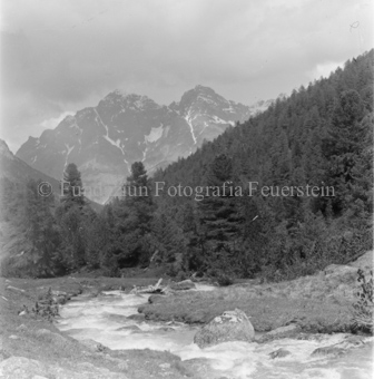 Serie: Nationalpark, Arvenwald, Bezeichnung Hülle: Nationalpark, Nationalpark Arvenwald mit Personen, Val Mingèr; Nationalpark Til Rieser