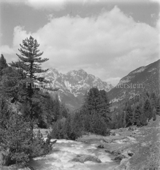 Serie: Nationalpark, Arvenwald, Bezeichnung Hülle: Nationalpark, Nationalpark Arvenwald mit Personen, Val Mingèr; Nationalpark Til Rieser