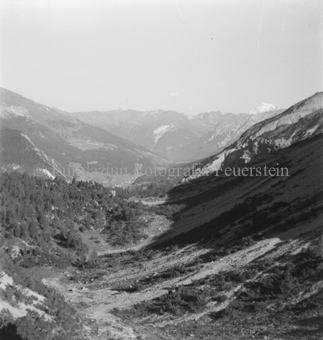 Serie: Nationalpark, Arvenwald, Bezeichnung Hülle: Nationalpark, Nationalpark Arvenwald mit Personen, Val Mingèr; Nationalpark Til Rieser