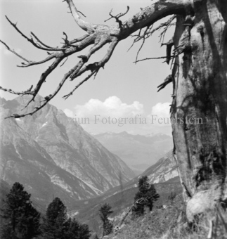 Serie: Nationalpark, Arvenwald, Bezeichnung Hülle: Nationalpark, Nationalpark Arvenwald mit Personen, Val Mingèr; Nationalpark Til Rieser