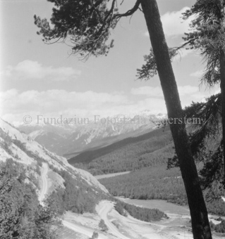 Serie: Nationalpark, Arvenwald, Bezeichnung Hülle: Nationalpark, Nationalpark Arvenwald mit Personen, Val Mingèr; Nationalpark Til Rieser