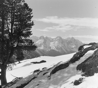 Serie: Nationalpark, Arvenwald, Bezeichnung Hülle: Nationalpark, Nationalpark Arvenwald mit Personen, Val Mingèr; Nationalpark Til Rieser
