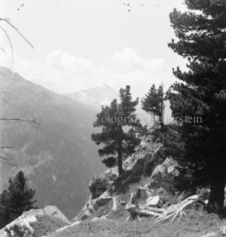 Serie: Nationalpark, Arvenwald, Til Rieser, Bezeichnung Hülle: Nationalpark, Nationalpark Arvenwald mit Personen, Val Mingèr; Nationalpark Til Rieser