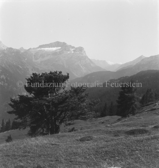 Serie: Nationalpark, Arvenwald, Bezeichnung Hülle: Nationalpark, Nationalpark Arvenwald mit Personen, Val Mingèr; Nationalpark Til Rieser