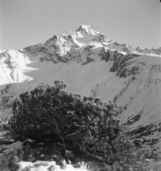 Serie: Nationalpark, Arvenwald, Bezeichnung Hülle: Nationalpark, Nationalpark Arvenwald mit Personen, Val Mingèr; Nationalpark Til Rieser