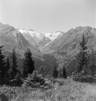 Serie: Nationalpark, Arvenwald, Bezeichnung Hülle: Nationalpark, Nationalpark Arvenwald mit Personen, Val Mingèr; Nationalpark Til Rieser