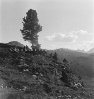 Serie: Nationalpark, Arvenwald, Til Rieser, Bezeichnung Hülle: Nationalpark, Nationalpark Arvenwald mit Personen, Val Mingèr; Nationalpark Til Rieser