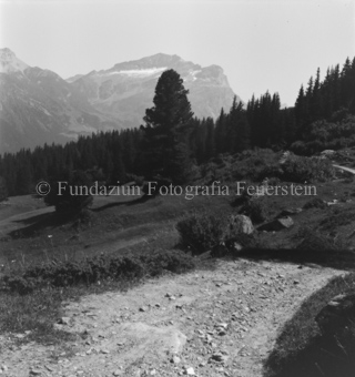 Serie: Nationalpark, Arvenwald, Bezeichnung Hülle: Nationalpark, Nationalpark Arvenwald mit Personen, Val Mingèr; Nationalpark Til Rieser