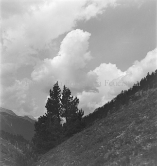 Serie: Nationalpark, Arvenwald, Til Rieser, Bezeichnung Hülle: Nationalpark, Nationalpark Arvenwald mit Personen, Val Mingèr; Nationalpark Til Rieser