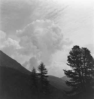 Serie: Nationalpark, Arvenwald, Bezeichnung Hülle: Nationalpark, Nationalpark Arvenwald mit Personen, Val Mingèr; Nationalpark Til Rieser