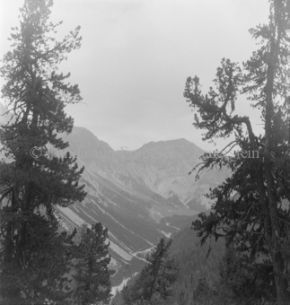 Serie: Nationalpark, Arvenwald, Bezeichnung Hülle: Nationalpark, Nationalpark Arvenwald mit Personen, Val Mingèr; Nationalpark Til Rieser