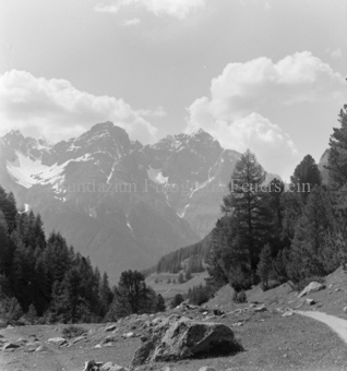 Serie: Nationalpark, Arvenwald, Bezeichnung Hülle: Nationalpark, Nationalpark Arvenwald mit Personen, Val Mingèr; Nationalpark Til Rieser