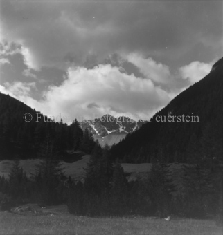 Serie: Nationalpark, Arvenwald, Bezeichnung Hülle: Nationalpark, Nationalpark Arvenwald mit Personen, Val Mingèr; Nationalpark Til Rieser