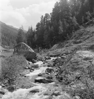 Serie: Nationalpark, Arvenwald, Bezeichnung Hülle: Nationalpark, Nationalpark Arvenwald mit Personen, Val Mingèr; Nationalpark Til Rieser