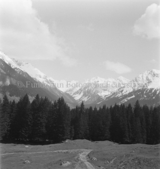 Serie: Nationalpark, Arvenwald, Bezeichnung Hülle: Nationalpark, Nationalpark Arvenwald mit Personen, Val Mingèr; Nationalpark Til Rieser