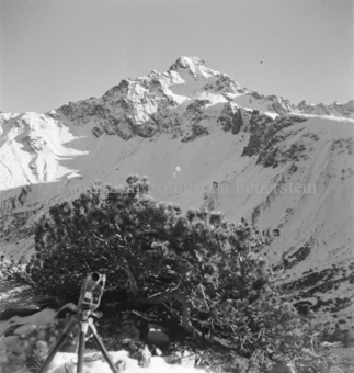 Serie: Nationalpark, Arvenwald, Bezeichnung Hülle: Nationalpark, Nationalpark Arvenwald mit Personen, Val Mingèr; Nationalpark Til Rieser